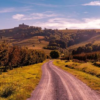 Un paesaggio autunnale nelle Langhe (Langhe Experience) Un paesaggio autunnale nelle Langhe (Langhe Experience)