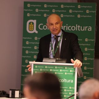 Enrico Allasia
