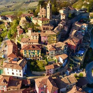 Truffe e tentativi di furto in aumento nelle Langhe: a Monforte un incontro pubblico per informare i cittadini