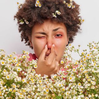 Pollini tutto l'anno e "brain fog": le allergie non sono più un fastidio stagionale ma una sfida cronica