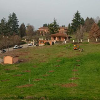 La tartufaia inaugurata a Grinzane La tartufaia inaugurata a Grinzane
