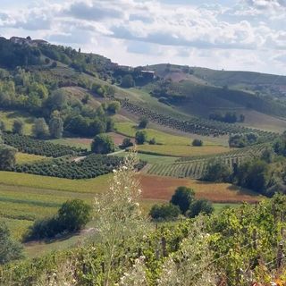 Mongardino entra nella famiglia dei Comuni Amis di Gite Fuori Porta in Piemonte: un nuovo angolo di Monferrato da scoprire