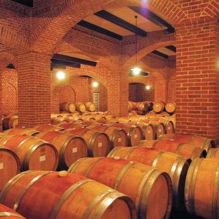 Vino, Confagricoltura Cuneo: “Serve una strategia strutturale per il comparto”