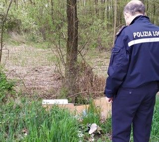 Alba, sette sanzioni per l'abbandono dei rifiuti: tolleranza zero dalla Polizia Municipale