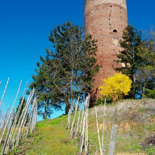 Nessun caso di Covid-19 a Montaldo Roero: guariti i due residenti Nessun caso di Covid-19 a Montaldo Roero: guariti i due residenti