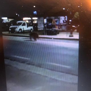 Un frame del video girato con un cellulare