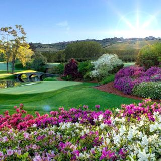 Ci sono solo immagini di render del progetto Langaverde ma la discussione non manca