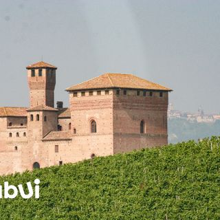 B come bellezza per Tabui, fenomeno social di Langhe e Roero