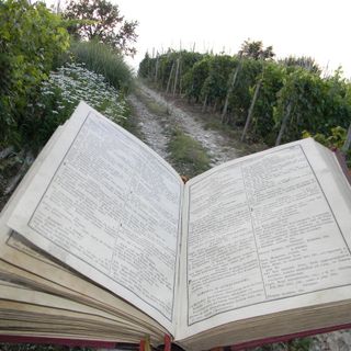 “Pesca un libro” a Canale: un evento, nuovi spazi e prospettive di collettività