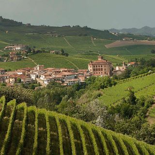 Un suggestivo scorcio delle Langhe nella zona di produzione del Barolo (Foto Enzo Massa) Un suggestivo scorcio delle Langhe nella zona di produzione del Barolo (Foto Enzo Massa)