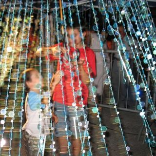 Alba, doppio appuntamento  per la rassegna “L’albero racconta…” della Biblioteca civica