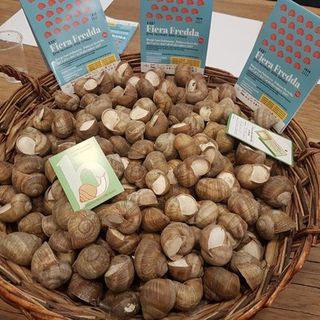 Ad Andonno “Sotto il segno della lumaca… 452ª Fiera Fredda” Ad Andonno “Sotto il segno della lumaca… 452ª Fiera Fredda”