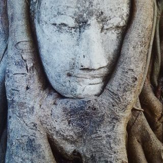 AL CUORE DELLA MINDFULNESS – percorso avanzato