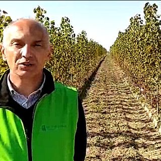 Enrico Allasia: “Adesso serve accelerare la ripresa e una maggiore semplificazione della burocrazia”