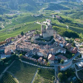 A Barolo si parla di viticoltura del futuro tra promozione e telematizzazione