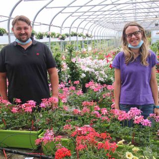 Alex e Sara Parola nella serra dei gerani dai colori particolarmente intensi