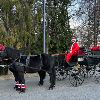 Gioia per i più piccoli ma anche per gli adulti, in quel tornare anche loro un po’ bambini ed in quell’ancora stupirsi.
