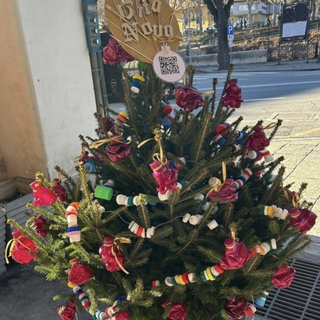 “Alberi di Natale”: a Mondovì ritorna il contest promosso dal Circolo delle Idee “Alberi di Natale”: a Mondovì ritorna il contest promosso dal Circolo delle Idee