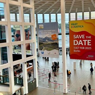 Le aziende frutticole di Confagricoltura Cuneo pronte per il Fruit Logistica di Berlino