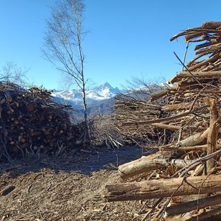 A Revello un incontro per conoscere le buone pratiche di gestione forestale