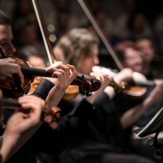 L'arte del liutaio nella musica classica: la maestria del suono