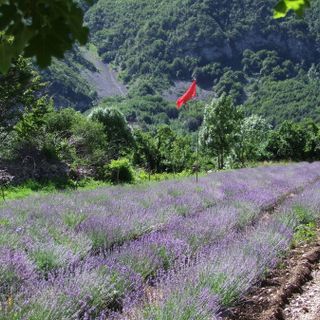 Abitare la montagna: sostenibilità, relazioni e qualità della vita. Il bando a sostegno delle filiere