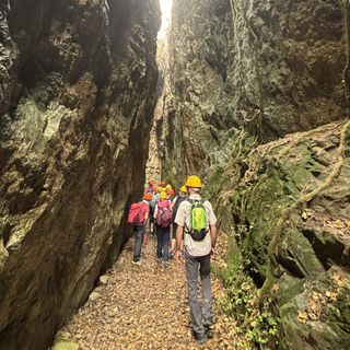 Mostra“Natura e Vita – Daniele Fissore” tra Busca e Cherasco: arte, e visite collaterali