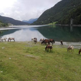 Pesca dilettantistica Pontechianale, i pescatori scrivono a Comune, Provincia e Regione: "Gravi criticità stanno pregiudicando l’attività per la stagione 2025"
