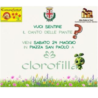 Clorofilla 2025: fiori, memoria e comunità Clorofilla 2025: fiori, memoria e comunità