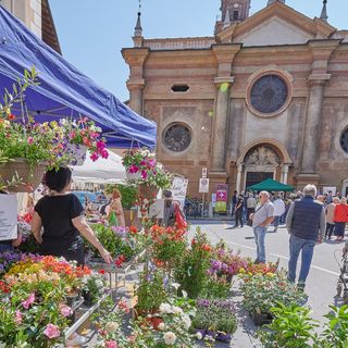 Domani "QuintEssenza" apre le porte della città di Savigliano a erbe e fiori con 150 espositori e 22 eventi