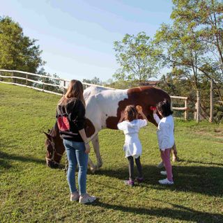 La Collina degli Elfi di Govone riapre le sue porte dal 15 giugno