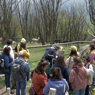 Sensibili alla natura: evento finale del progetto Laboratorio Monviso