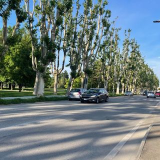 Il traffico su viale Piave a Savigliano
