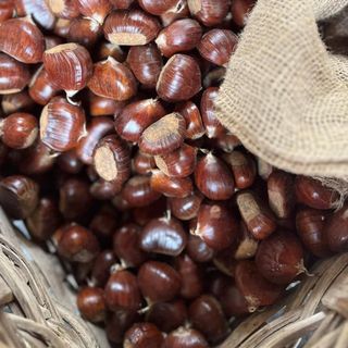 Immagine di repertorio