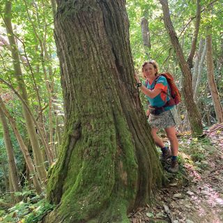 Benessere a Ormea: il Bagno di Foresta, un'esperienza gratuita per mente e corpo