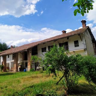 Il festival della grande felicità: dove il silenzio diventa musica nel cuore delle Langhe