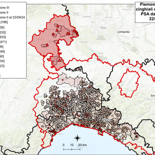 Peste suina africana, nessun nuovo caso in Piemonte e Liguria Peste suina africana, nessun nuovo caso in Piemonte e Liguria