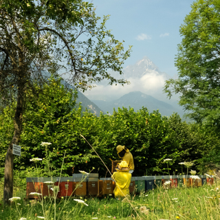 Formazione per aziende agricole del GAL: tre incontri su comunicazione e commercializzazione