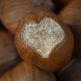 Alcuni scatti del fotografo Enzo Massa