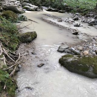 Frabosa Sottana, acque sporche e moria di trote nel torrente Maudagna [FOTO]