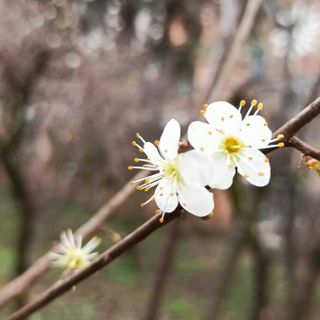 Foto di Stefano Tibaldi