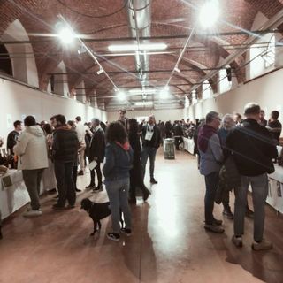 Svitati, edizione 2024