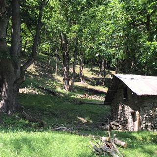 A Mondovì l'evento "Di monti e castanicoltori" con il Comizio Agrario