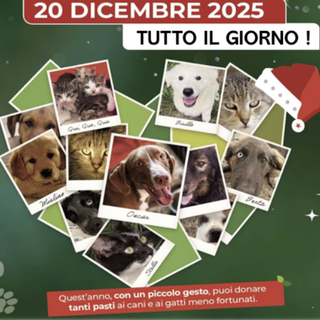 Cuneo, una raccolta alimentare Natalizia per animali bisognosi