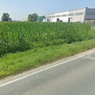 La zona artigianale di Cavallermaggiore, nella frazione Foresto, dove potrebbe sorgere un nuovo impianto industriale di trattamento termico per il recupero di scarti legnosi