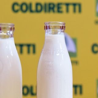 Latte, Coldiretti Cuneo: "Necessario valorizzare la produzione locale"
