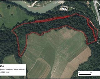 A Niella Tanaro  l'assemblea dell'Associazione Fondiaria Monregalese