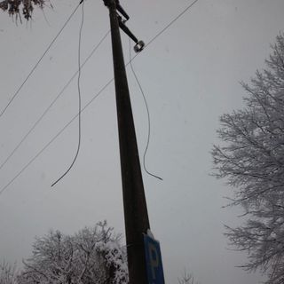 Mondovì, albero cade su cavi elettrici: chiusa la strada provinciale Carassone-Piazza