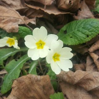 Immagine di repertorio