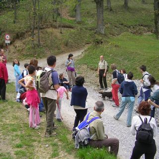Robilante, l'associazione Limodoro festeggia vent'anni di attività